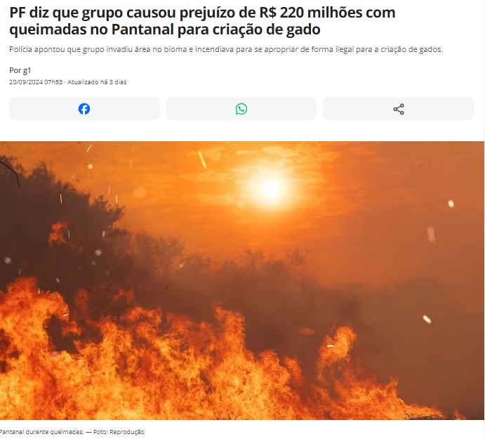 不法開発者達が放牧地作成のためにパンタナルでの火災を引き起こし、2・2億レの損害を与えたと報じる20日付G1サイトの記事の一部