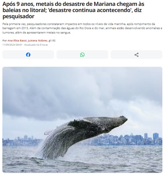 クジラでも重金属汚染が起きていることや、災害は起こり続けているという言葉を報じる１１日付Ｇ１サイトの記事の一部