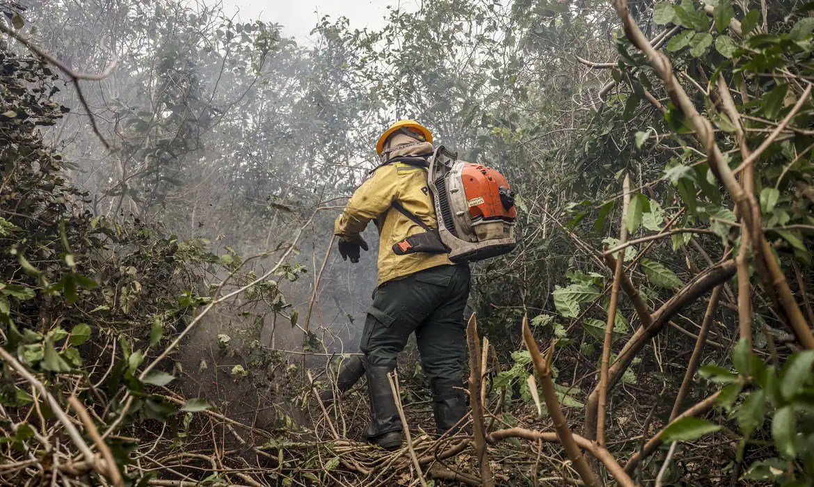 消火活動中の消防士(© Marcelo Camargo/Agência Brasil)