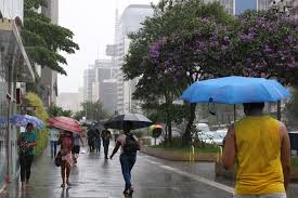 雨のサンパウロ市（Rovena Rosa）
