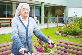 イナさん（Gerontology Research Group）