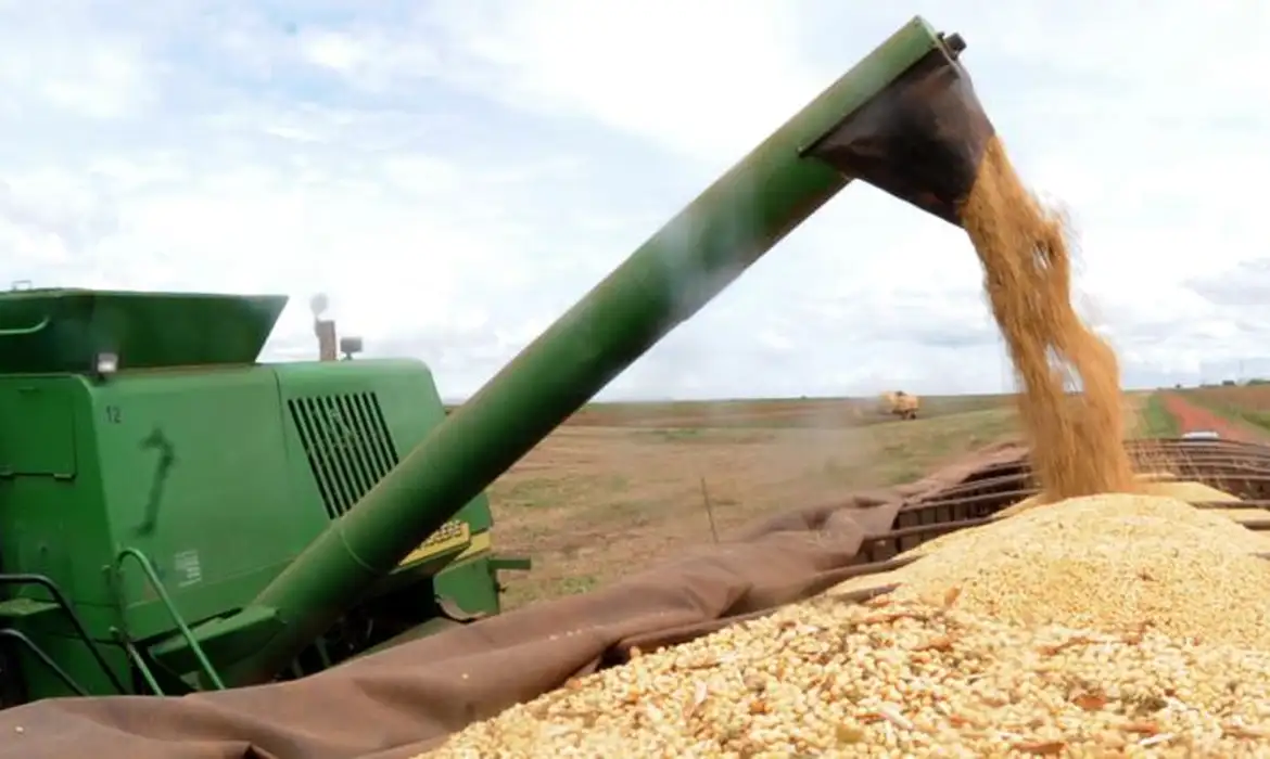 収穫される大豆（Foto: Agencia Brasil）