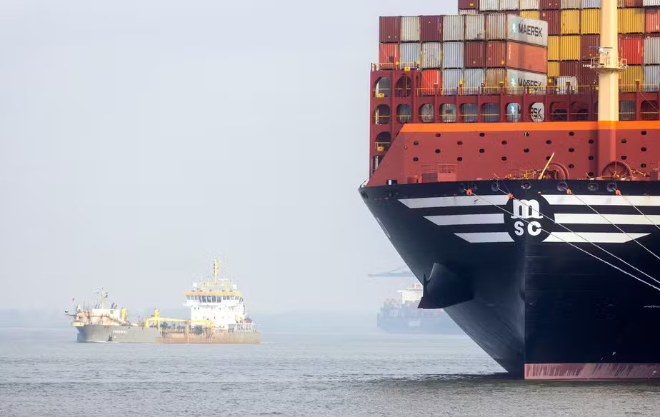 MSCコンテナ船 （Divulgação/Bloomberg）