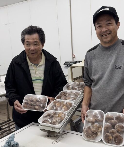 シイタケ栽培の石原さん親子