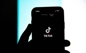 TikTokのイメージ（Solen Feiyssa/FLICKR）