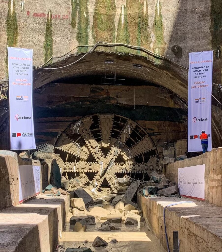 サンジョアキンに到達したタツゾン（Marcelo S. Camargo / Governo do Estado de SP）