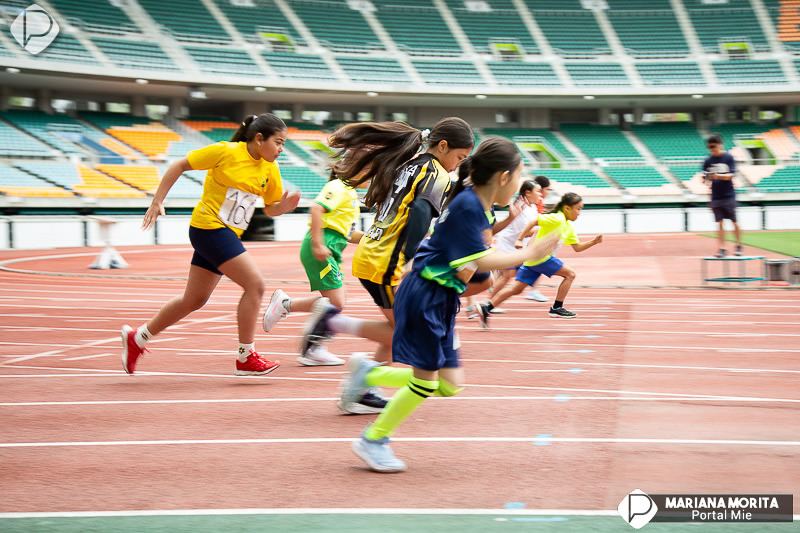 2024年の陸上競技の様子
