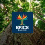 ブラジルが議長国を務める第17回BRICS首脳会議のロゴ（Foto:Divulgação/Secom PR）