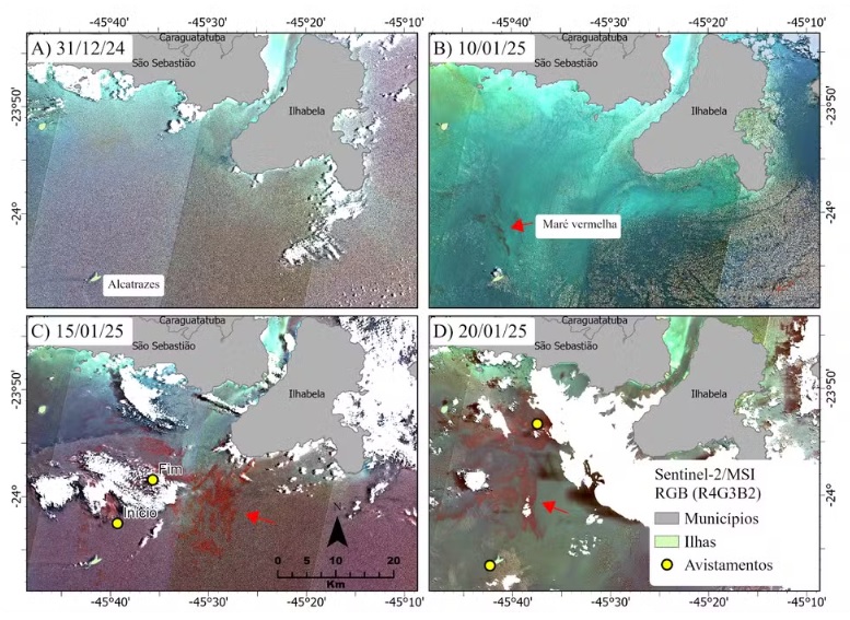 赤潮が広がっていく様子（Divulgação/Inpe）