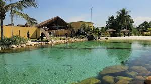 リゾート・グリーン（Reproducao）