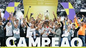 優勝に沸くコリンチャンス（Rodrigo Coca/Corinthians）