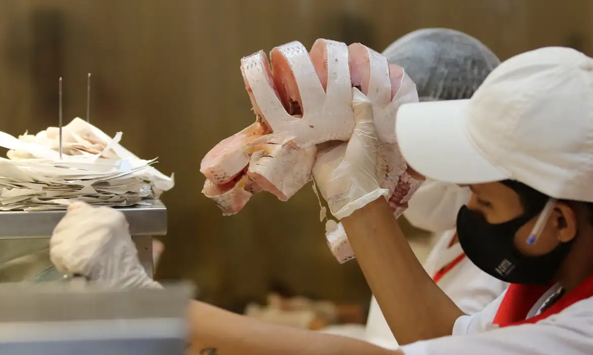 魚の特売市の様子（© Fabio Rodrigues Pozzebom/Agência Brasil）