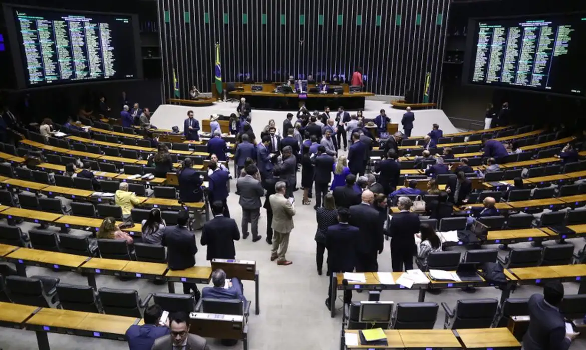 連邦下院本会議場（© Vinicius Loures/Câmara dos Deputados）