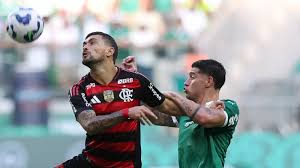 パルメイラス対フラメンゴ戦(Csar Greco/Palmeiras)
