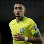 ラフィーニャ（CBF）