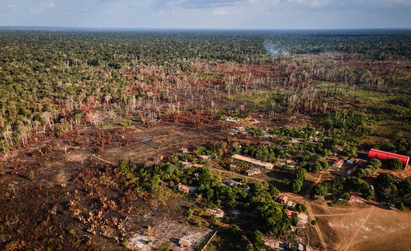 アマゾン熱帯雨林の先住民居住地域における森林破壊の現場（Foto: Cícero Ped-rosa ,via Fotos Publicas）