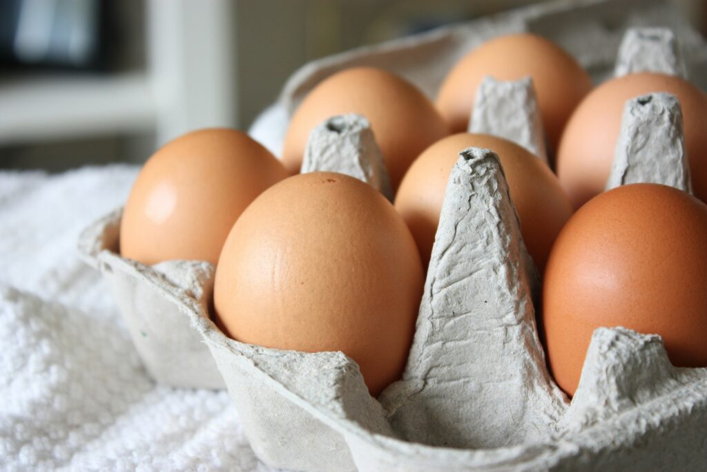 今年の鶏卵輸出は顕著な成長を見せている（Foto:Morgane Perraud/unsplash）