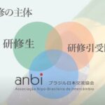 研修事業紹介動画の一場面