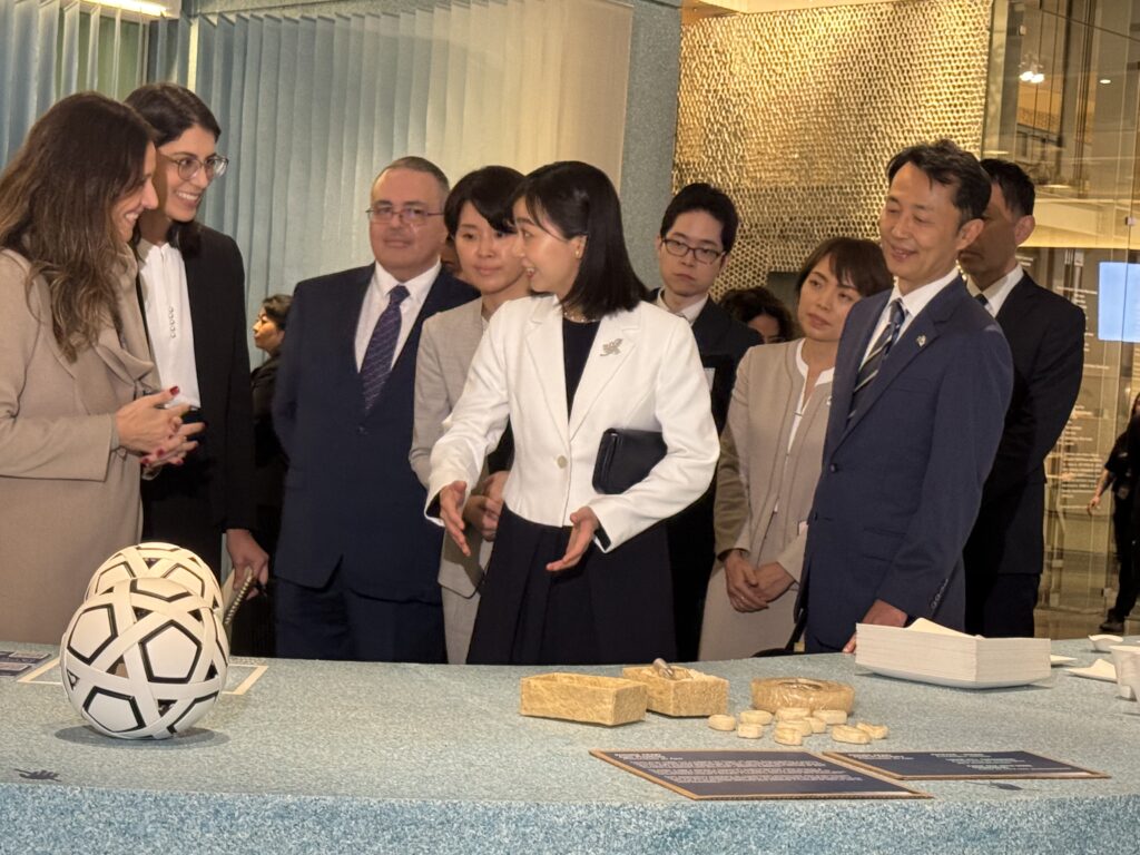 説明をお受けになる佳子様